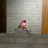 فۣۗـۙروُحۣۗـۙهۣۗہ🫀 - @farahjamal.amro - TikTok