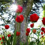 Farah Noor - @faritah0912 - Instagram