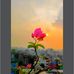Farah Noor - Facebook