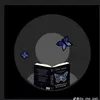 Farah Noor - @farah.noor037 - TikTok