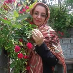 Farah - @farah_tehrani1374 - Instagram
