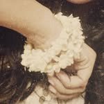 چنری - @farahamanullah - Instagram