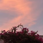 Faraz Aftab - @farazaftab30 - Instagram