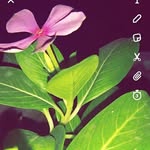 Faraz Aftab rizvii - @_.nature_.love_ - Instagram