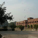 Faraz Cheema - @farazcheema_34 - Instagram