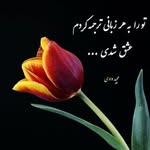 Faraz Farzin - @faraz.farzin.526 - Instagram