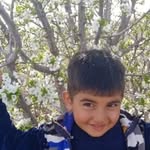 farzin.faraz - @farzin.faraz3 - Instagram