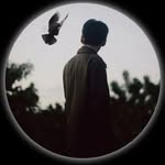 Faraz Mohammedi - @farazmohammedi - Instagram