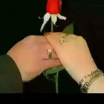 Fardowsa Abdullahi - @fardowsa596 - Instagram