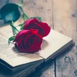 fareed abbas - @fareed_abbasi__ - Instagram