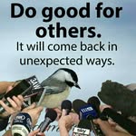 Fareed Abdullah - @reed0358 - Instagram