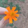 Fareed_ibrahim - @fareed_ibrahim34 - TikTok