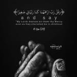 Fareed Rasheed - @fareedrasheed7 - Instagram