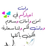 Fareed Rashid Alsammarraie - @fareedrasheedalsammarraie - Instagram