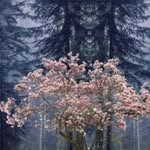 Fareeda Ali - @fareeda.ali980967 - Instagram