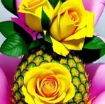 Fareeda Shaik - Facebook