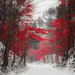 Fareeda Shaik - @fareeda3160 - Instagram