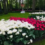 Fareeda Shaik - @fareedavali - Instagram
