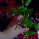 farha hashmi - @farhahashmi827 - Instagram