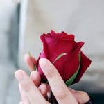 Farha Hashmi - @farha.hashmi - Instagram