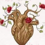 Farha Hashmi - Facebook