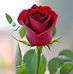 Farhan Aly - Facebook