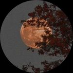 Farhan Azam - @farhanazam.exe - Instagram