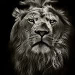 farhan-Bashir - @_https_farhan_114 - Instagram