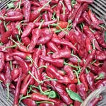 Farhan Dar - @farhan.dar.560 - Instagram