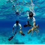 Farhan David - @farhandaviid - Instagram