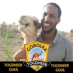 Farhan Osman Elmi - @farhan.elmi - Instagram