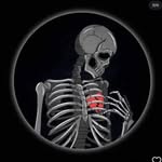 Farhan faiz - @farhan__k_f_ - Instagram