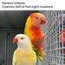 Farhan Haroon - Facebook