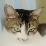 Farhan Ismail - @farhan.ismail2005 - Instagram