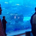 Farhan Moosa - @farhan.moosa.942 - Instagram