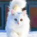 Farhan Moosa - Facebook