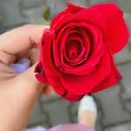Faria Qureshi - Facebook
