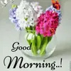 Faria Qureshi - @fariaqureshi430 - TikTok