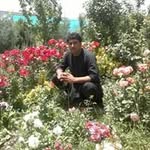 Farid Azizi - @farid_azizi10 - Instagram