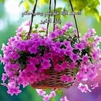 Farid Hamid - Facebook