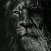 Farid_ismaili - @farid_ismaili - TikTok