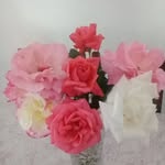 Fari Djami - @fari.djami - Instagram