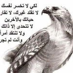 Farid Khalaf - @mado_alhwt - Instagram