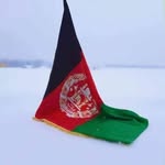 Farid Masoud - @faridmasoud3 - Instagram