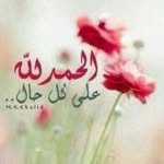 Mį Søu - @faridmasoud55 - Instagram