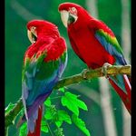 Farid Masud Rana - @farid.masudrana - Instagram