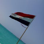 Nagy Farid - @nagyfarid - Instagram