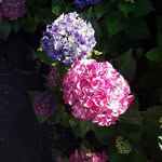 Farid Naimzadeh - @faridnaimzadeh - Instagram