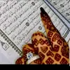 Farida Omar - @farida.omar27 - TikTok