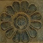 Farid Rezaei - @rezae.farid - Instagram